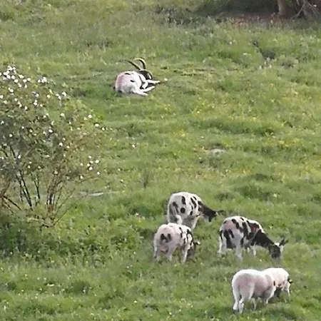 Διαμέρισμα Stoll *